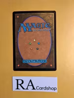Apothecary Geist Common 004/297 Shadows Over Innistrad Magic the Gathering