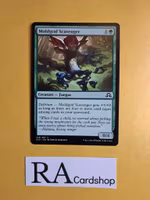Moldgraf Scavenger Common 218/297 Shadows Over Innistrad Magic the Gathering