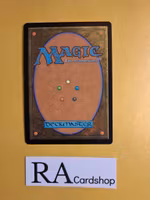 Stone Quarry Land 279/297 Shadows Over Innistrad (SOI) Magic the Gathering
