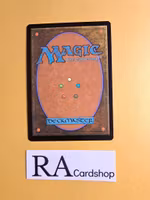 Island Land Foil 265 The Lord of the Rings Tales of Middle-earth Magic the Gathering