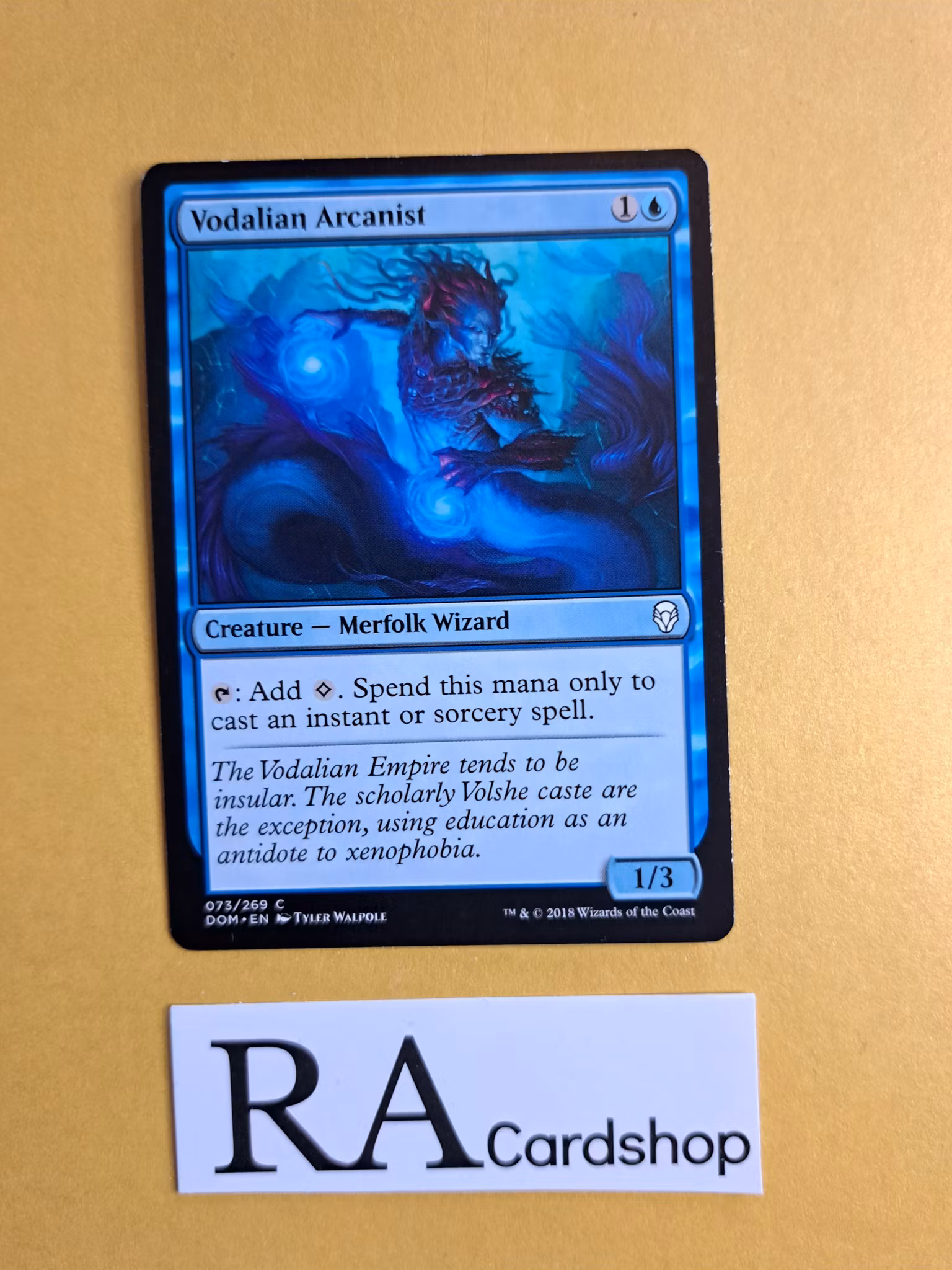 Vodalian Arcanist Common 073/269 Dominaria (DOM) Magic the Gathering