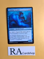 Vodalian Arcanist Common 073/269 Dominaria (DOM) Magic the Gathering