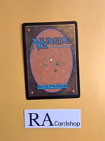 Ritual Guardian Common 030/277 Innistrad Midnight Hunt (MID) Magic the Gathering