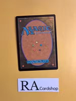 Secrets of the Key Common 073/277 Innistrad Midnight Hunt (MID) Magic the Gathering