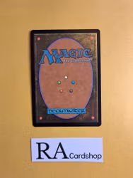 Immolation Common 144/277 Innistrad Midnight Hunt (MID) Magic the Gathering