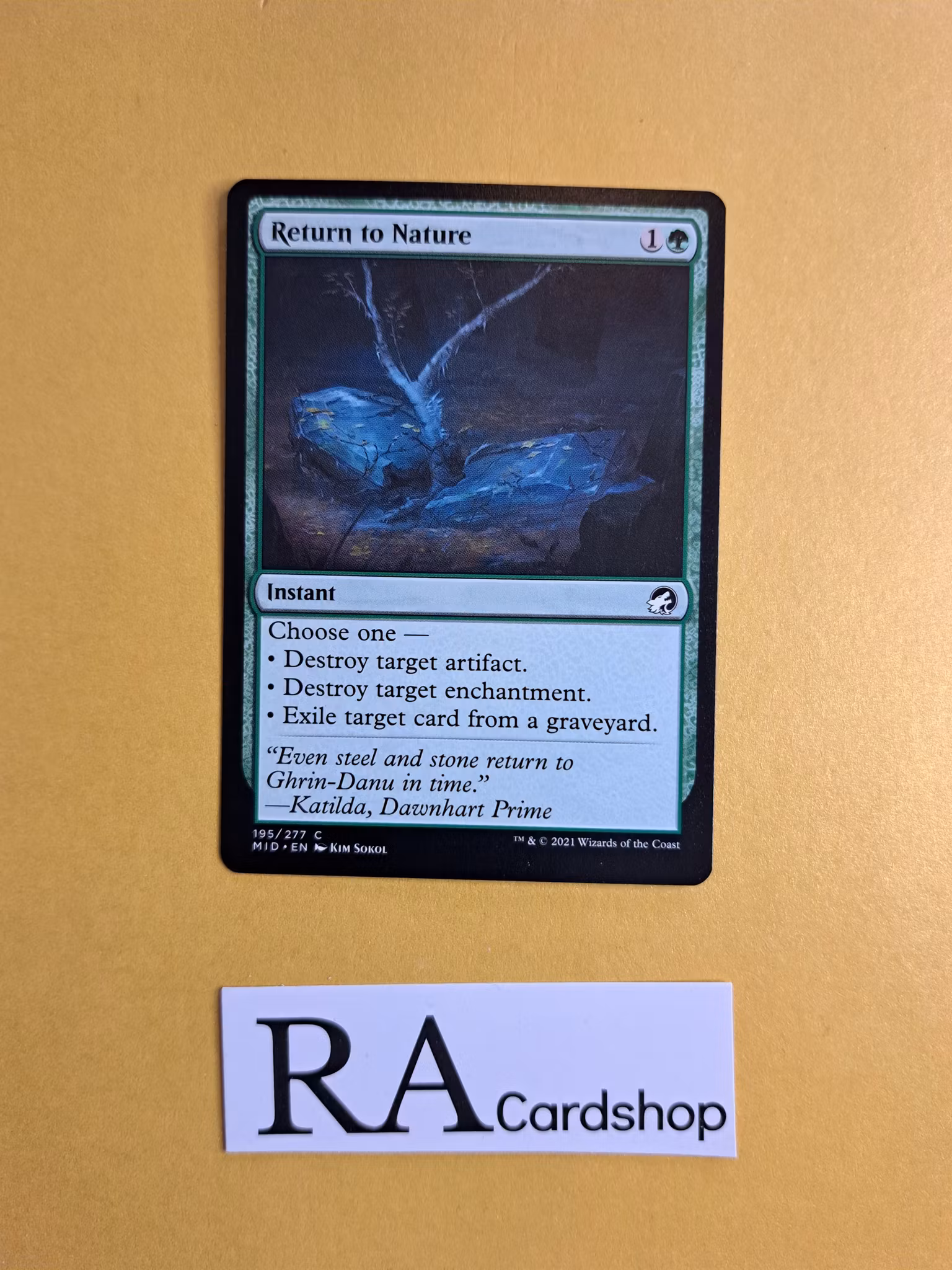 Return to Nature Common 195/277 Innistrad Midnight Hunt (MID) Magic the Gathering