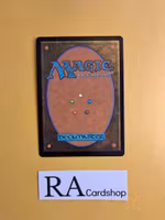 Shadowbeast Sighting Common 198/277 Innistrad Midnight Hunt (MID) Magic the Gathering