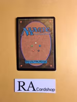 Angelic Gift Common 019/274 Battle for Zendikar (BFZ) Magic the Gathering