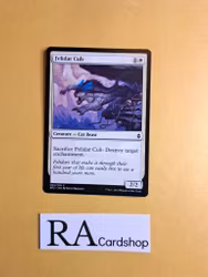 Felidar Cub Common 025/274 Battle for Zendikar (BFZ) Magic the Gathering