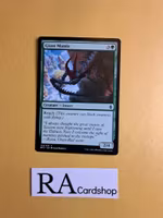 Giant Mantis Common 173/274 Battle for Zendikar (BFZ) Magic the Gathering