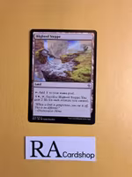 Blighted Steppe Land Uncommon 232/274 Battle for Zendikar (BFZ) Magic the Gathering