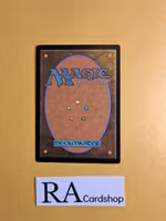 Kraken Hatchling Common 58/249 Core 2013 (M13) Magic the Gathering