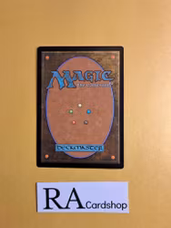 Kraken Hatchling Common 58/249 Core 2013 (M13) Magic the Gathering