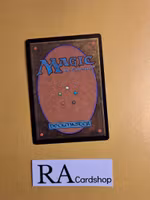 Downpour Common 48/249 Core 2013 (M13) Magic the Gathering