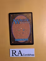Silvercoat Lion Common 35/249 Core 2013 (M13) Magic the Gathering