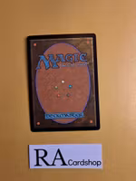 Aven Squire Common Magic 2013 6/249 Core 2013 (M13) Magic the Gathering