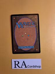 Aven Squire Common Magic 2013 6/249 Core 2013 (M13) Magic the Gathering