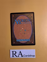 Lilianas Shade Common 98/249 Core 2013 (M13) Magic the Gathering