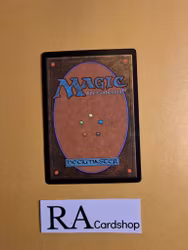 Lilianas Shade Common 98/249 Core 2013 (M13) Magic the Gathering