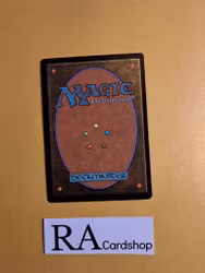 Tormented Soul Common 111/249 Core 2013 (M13) Magic the Gathering