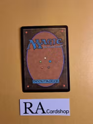 Furnace Whelp Uncommon 133/249 Core 2013 (M13) Magic the Gathering
