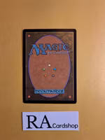 Wild Guess Common 157/249 Core 2013 (M13) Magic the Gathering