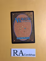 Public Execution Uncommon 105/249 Core 2013 (M13) Magic the Gathering