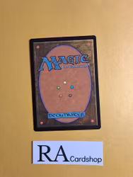 Arctic Aven Uncommon 42/249 Core 2013 (M13) Magic the Gathering