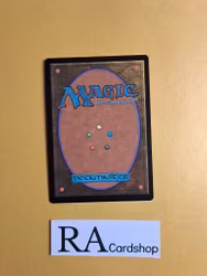 Ardenvale Paladin Common 004/268 Throne of Eldraine (ELD) Magic the Gathering