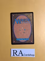 Shining armor Common 029/268 Throne of Eldraine (ELD) Magic the Gathering