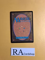 Youthful Knight Common 037/268 Throne of Eldraine (ELD) Magic the Gathering