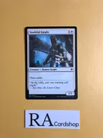 Youthful Knight Common 037/268 Throne of Eldraine (ELD) Magic the Gathering