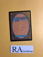 Vantress Paladin Common 072/268 Throne of Eldraine (ELD) Magic the Gathering