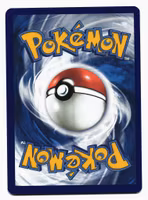 Sneasel Reverse Holo Common 030/198 Chilling Reign Pokémon