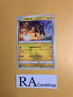 Zygarde Common 075/098 s12 Paradigm Trigger Pokemon