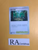 Lost Altar Uncommon 097/098 s12 Paradigm Trigger Pokemon