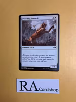 Prowling Caracal Common 017/259 Ravnica Allegiance (RNA) Magic the Gathering