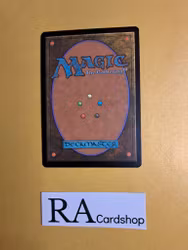 Twilight Panther Common 028/259 Ravnica Allegiance (RNA) Magic the Gathering