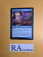 Windstorm Drake Uncommon 060/259 Ravnica Allegiance (RNA) Magic the Gathering