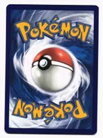 Sandaconda Reverse Holo Rare 109/202 Sword & Shield Pokemon