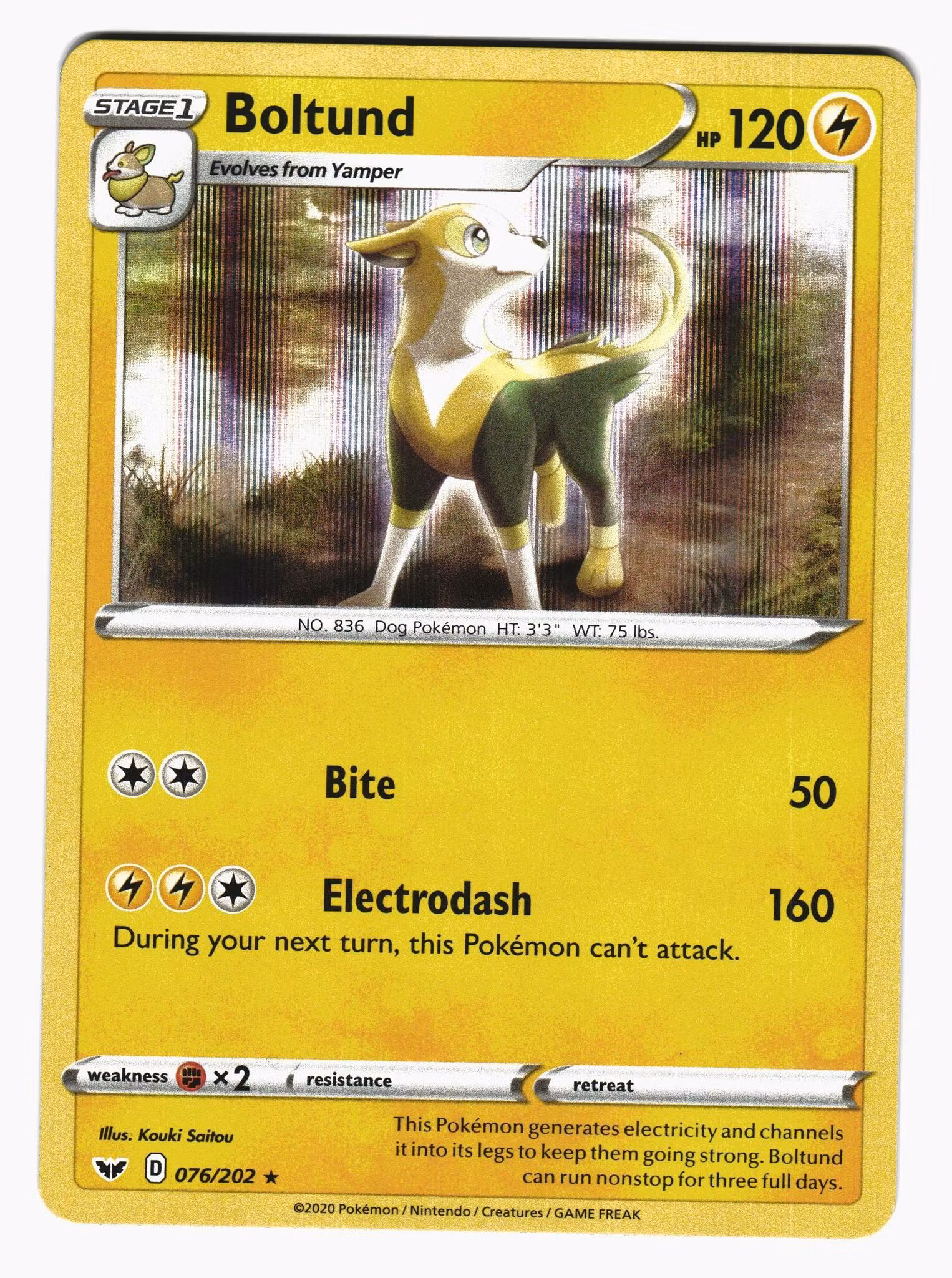 Boltund Holo Rare 076/202 Sword & Shield Pokemon