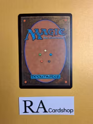 Verdant Haven Common 199/249 Magic 2014 (M14) Magic the Gathering