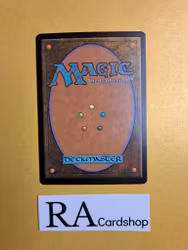Solemn Offering Common 36/249 Magic 2014 (M14) Magic the Gathering