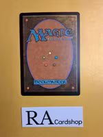 Suntail Hawk Common 40/249 Magic 2014 (M14) Magic the Gathering