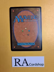 Illusionary Armor Common 59/249 Magic 2014 (M14) Magic the Gathering