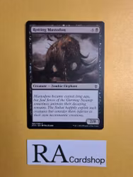 Rotting Mastodon Common 087/269 Khans of Tarkir (KTK) Magic the Gathering