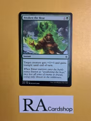 Awaken the Bear Common 129/269 Khans of Tarkir (KTK) Magic the Gathering