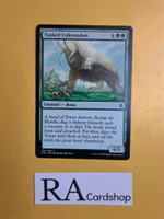 Tusked Colassodon Common 155/269 Khans of Tarkir (KTK) Magic the Gathering