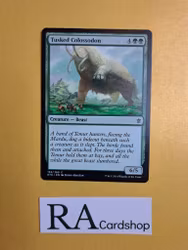 Tusked Colassodon Common 155/269 Khans of Tarkir (KTK) Magic the Gathering