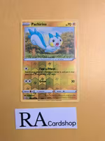 Pachirisu Reverse Holo Common 049/163 Battle Styles Pokemon
